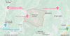 DARJEELING FTGFOP1 BIO Ging DJ-1 / 2024
